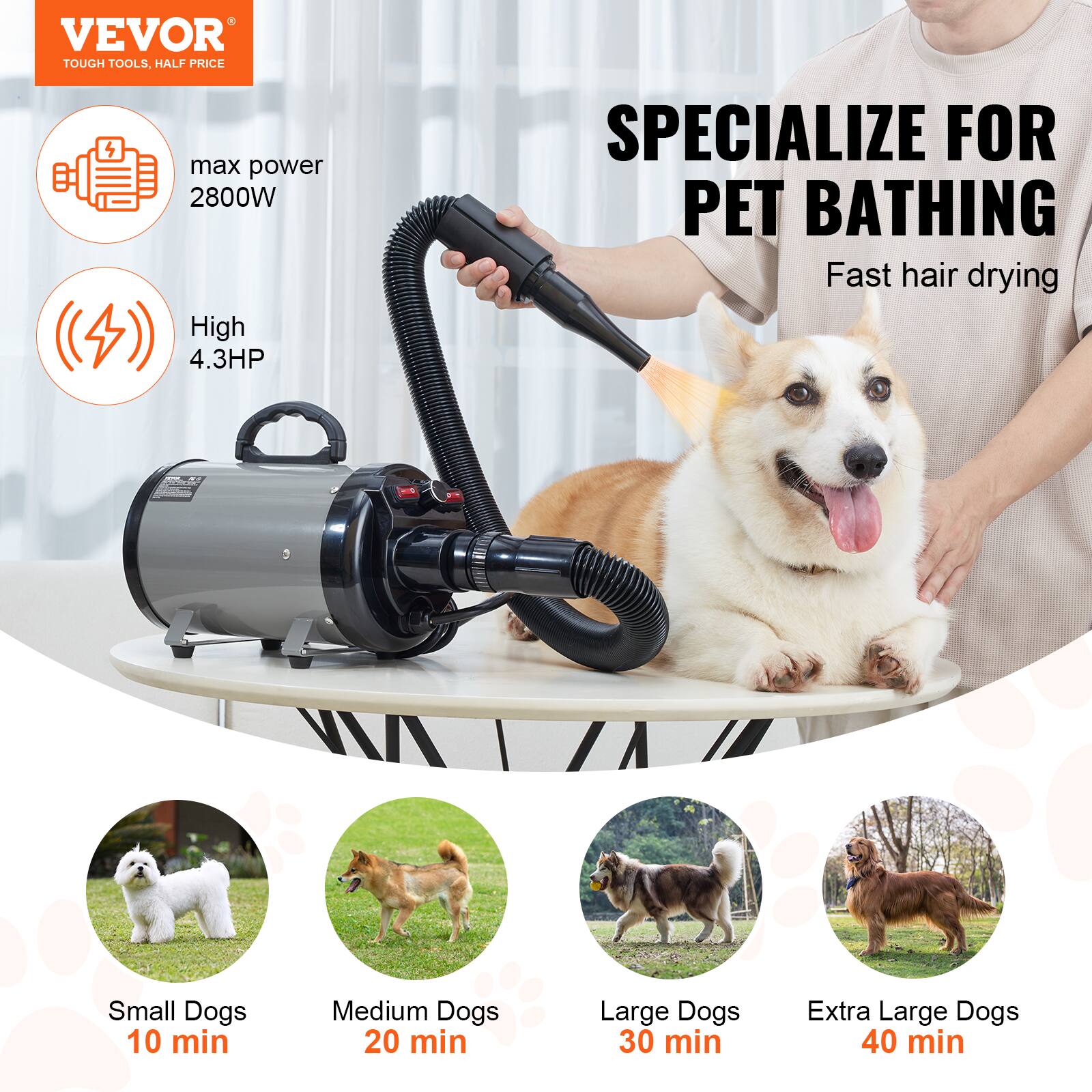 VEVOR TOUGH TOOLS, HALF PRICE  
max power 2800W  
High 4.3HP  

SPECIALIZE FOR PET BATHING  
Fast hair drying  

Small Dogs 10 min  
Medium Dogs 20 min  
Large Dogs 30 min  
Extra Large Dogs 40 min