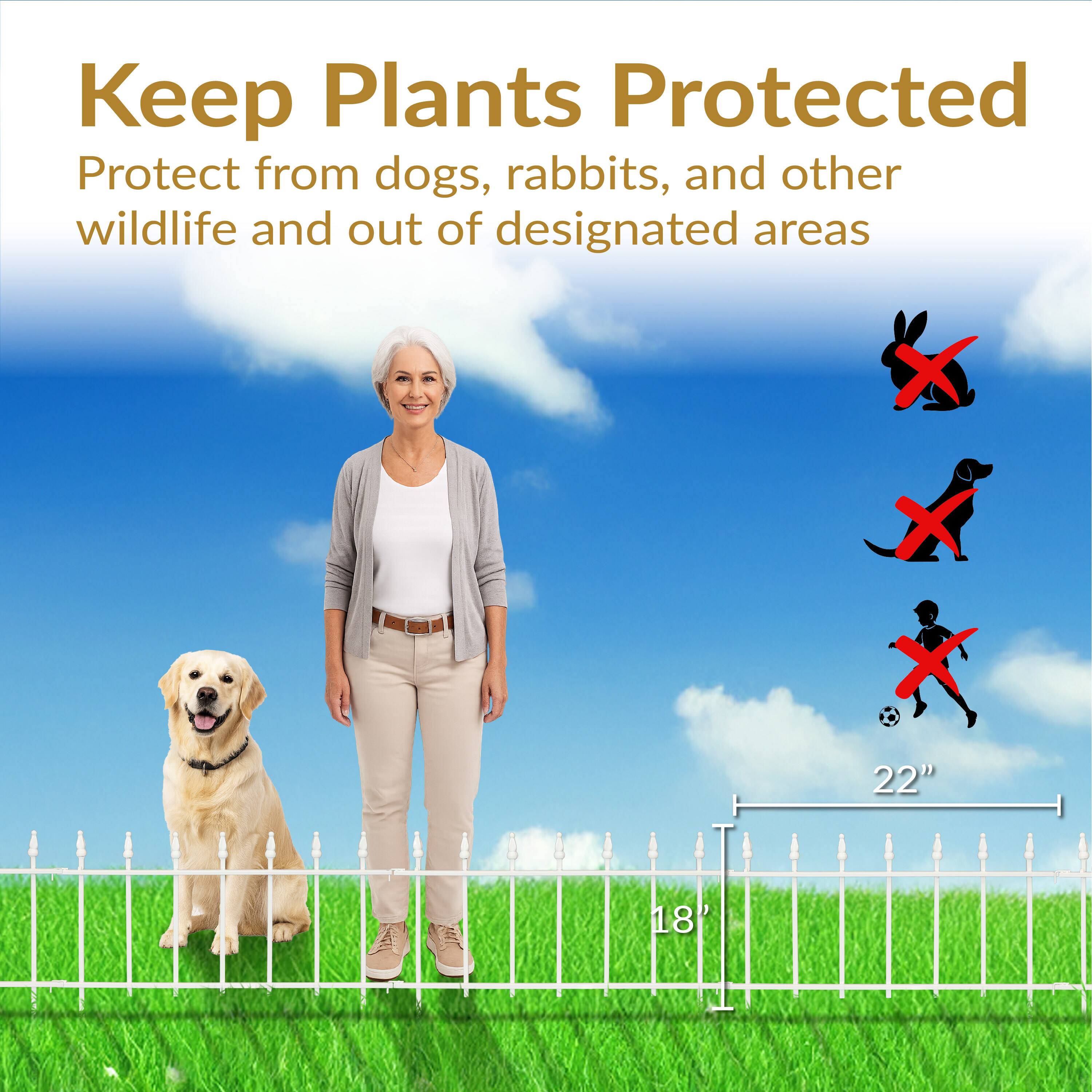 Keep Plants Protected  
Protect from dogs, rabbits, and other wildlife and out of designated areas  

22"  
18"