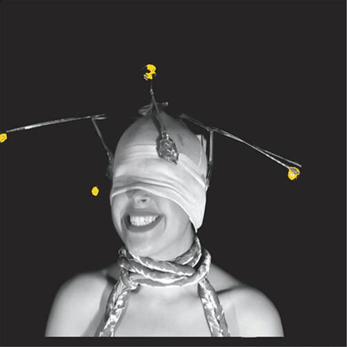 Front. Shimmer [LP].