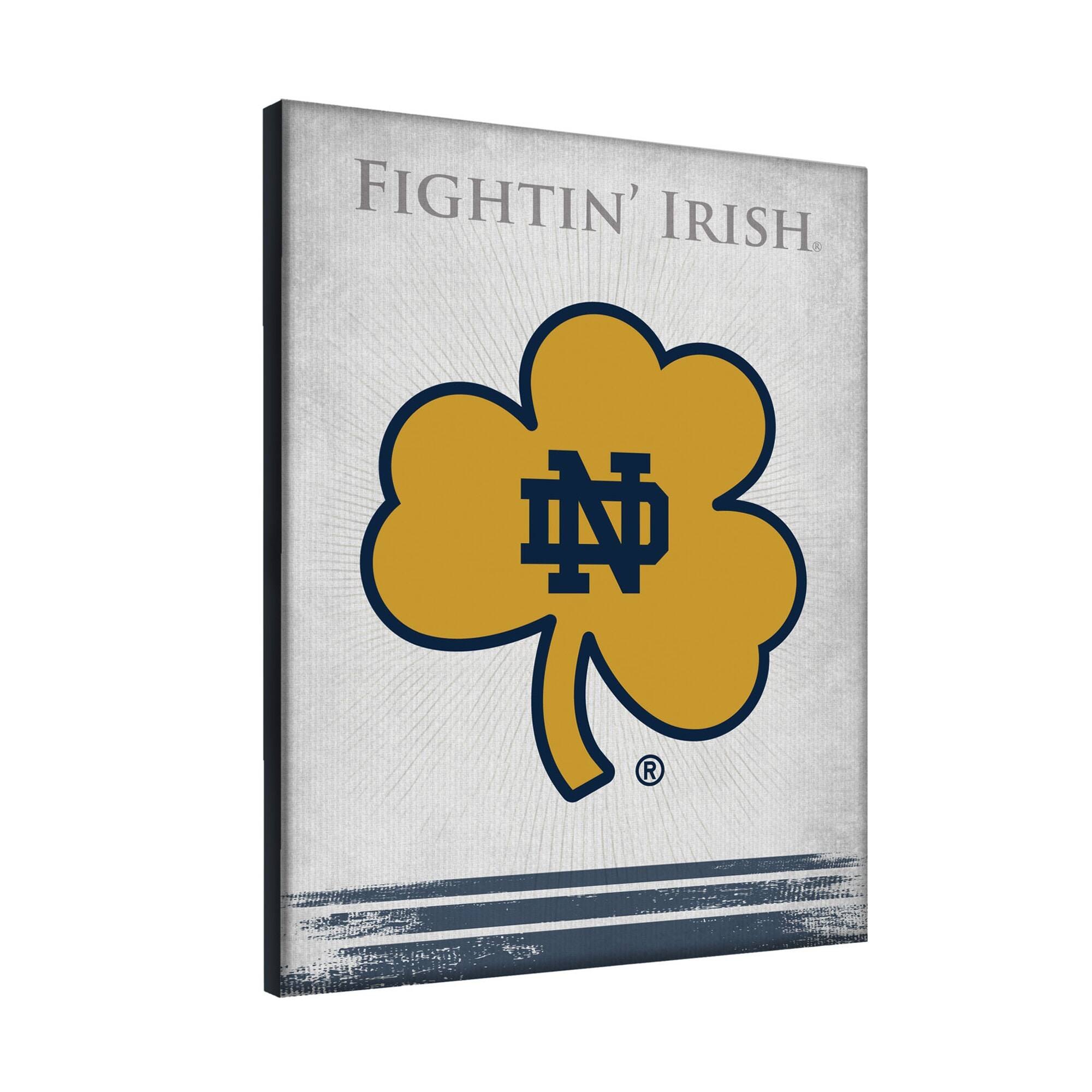 FIGHTIN' IRISH