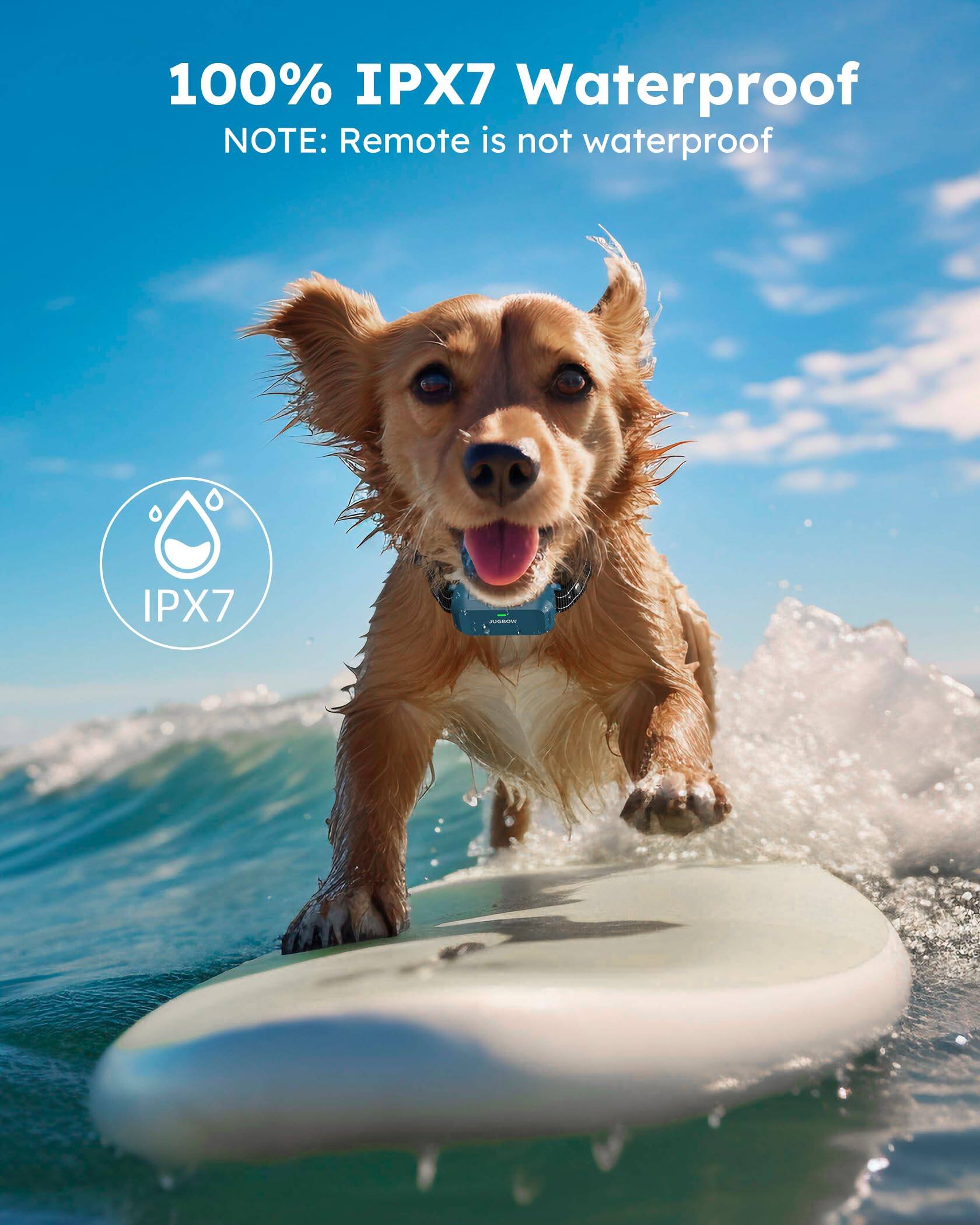 100% IPX7 Waterproof  
NOTE: Remote is not waterproof  

IPX7