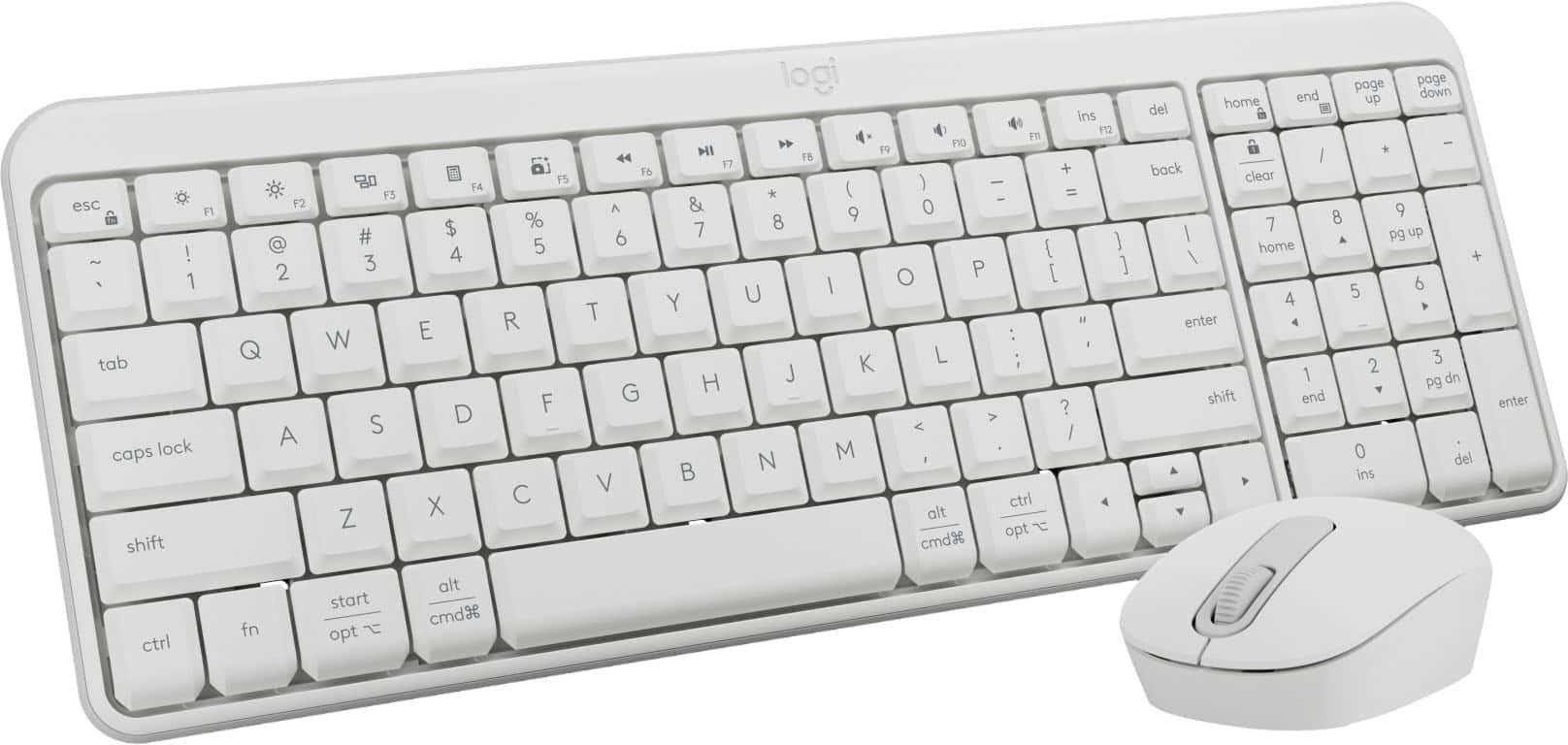 The image shows a white computer keyboard and a white mouse. The keyboard has a combination of letters and numbers, including the letters "Esc", "F1", "F2", "F3", "F4", "F5", "F6", "F7", "F8", "F9", "F10", "F11", and "F12". The mouse is placed next to the keyboard, ready for use.