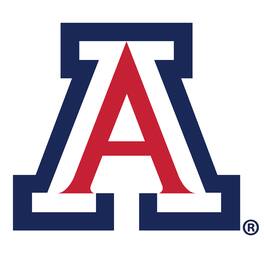 Fan Creations - Arizona Wildcats Distressed Logo Cutout Sign - Multicolor