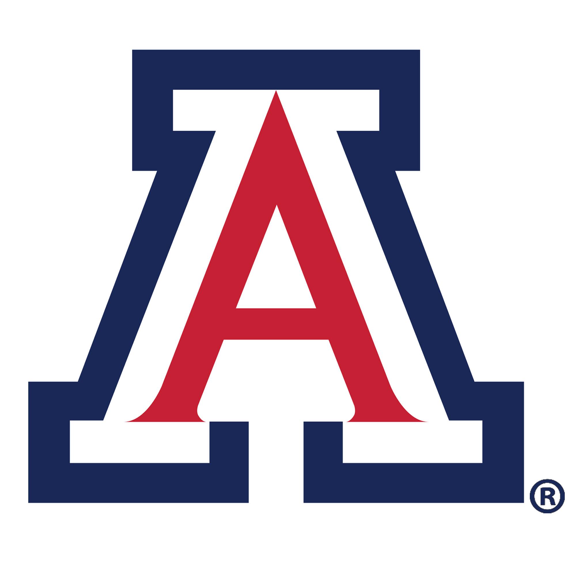Arizona Wildcats Distressed Logo Cutout Sign
