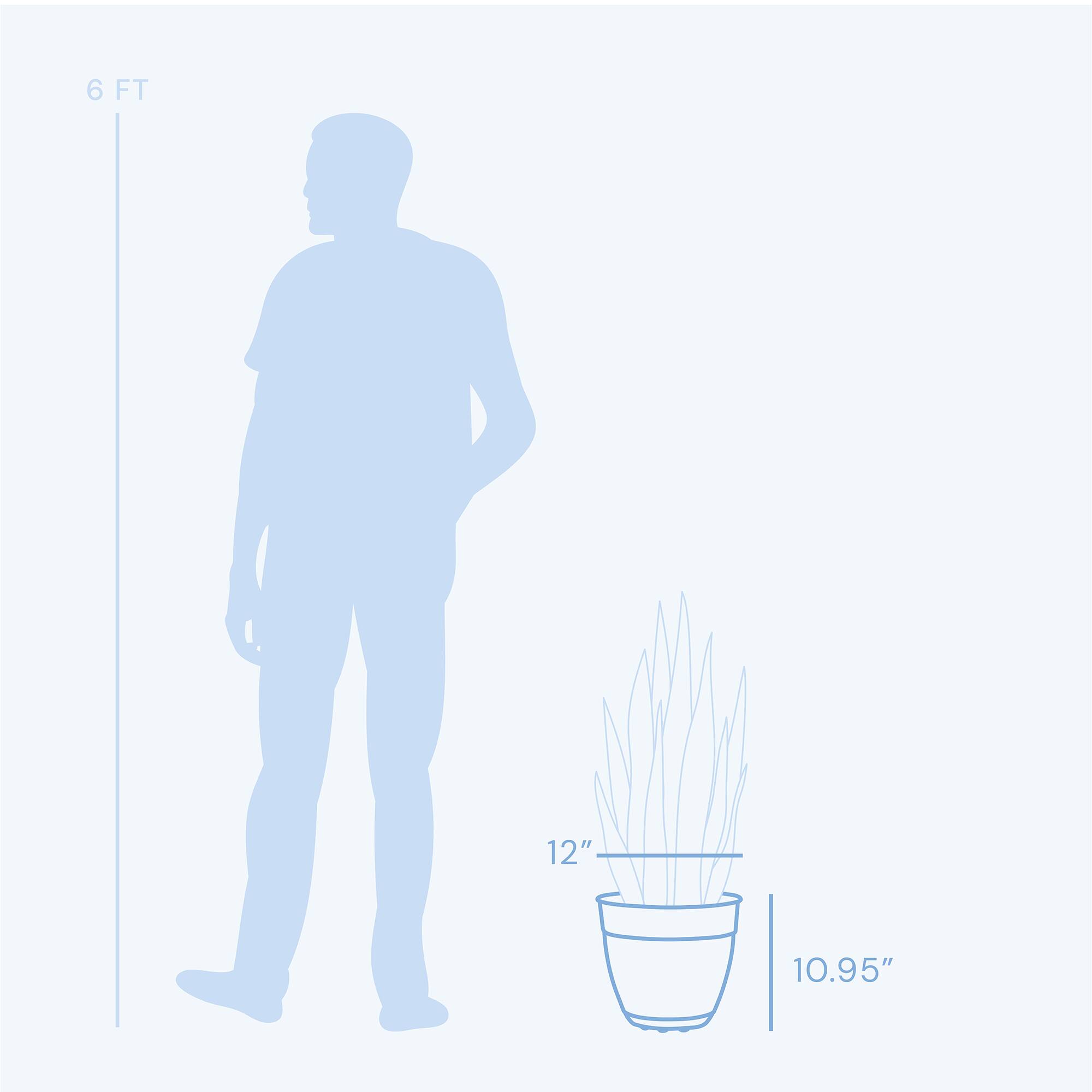 6 FT  
12"  
10.95"