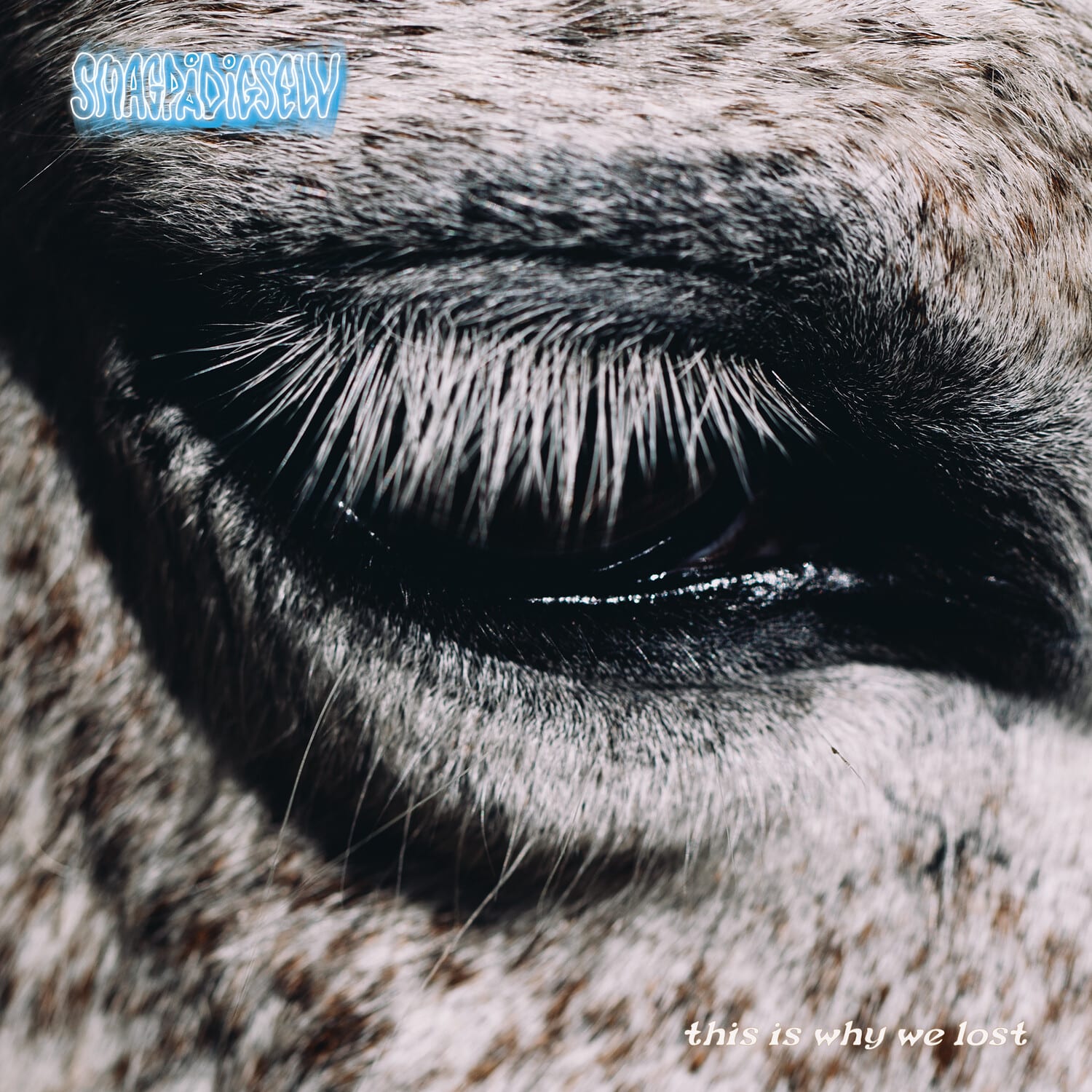 Smag Pa Dig Selv - This Is Why We Lost   - VINYL LP price history on PriceWatchPro