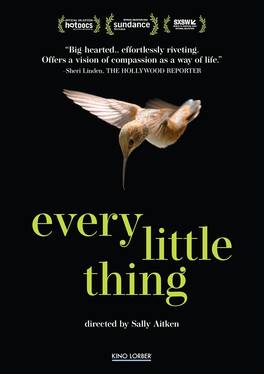 Every Little Thing - DVD