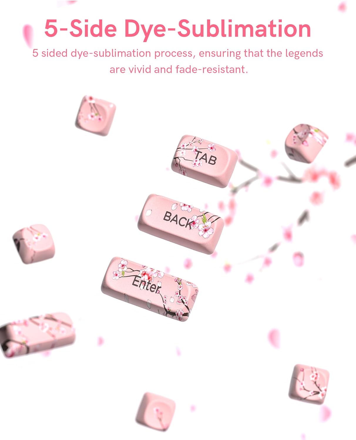 5-Side Dye-Sublimation

5 sided dye-sublimation process, ensuring that the legends are vivid and fade-resistant.