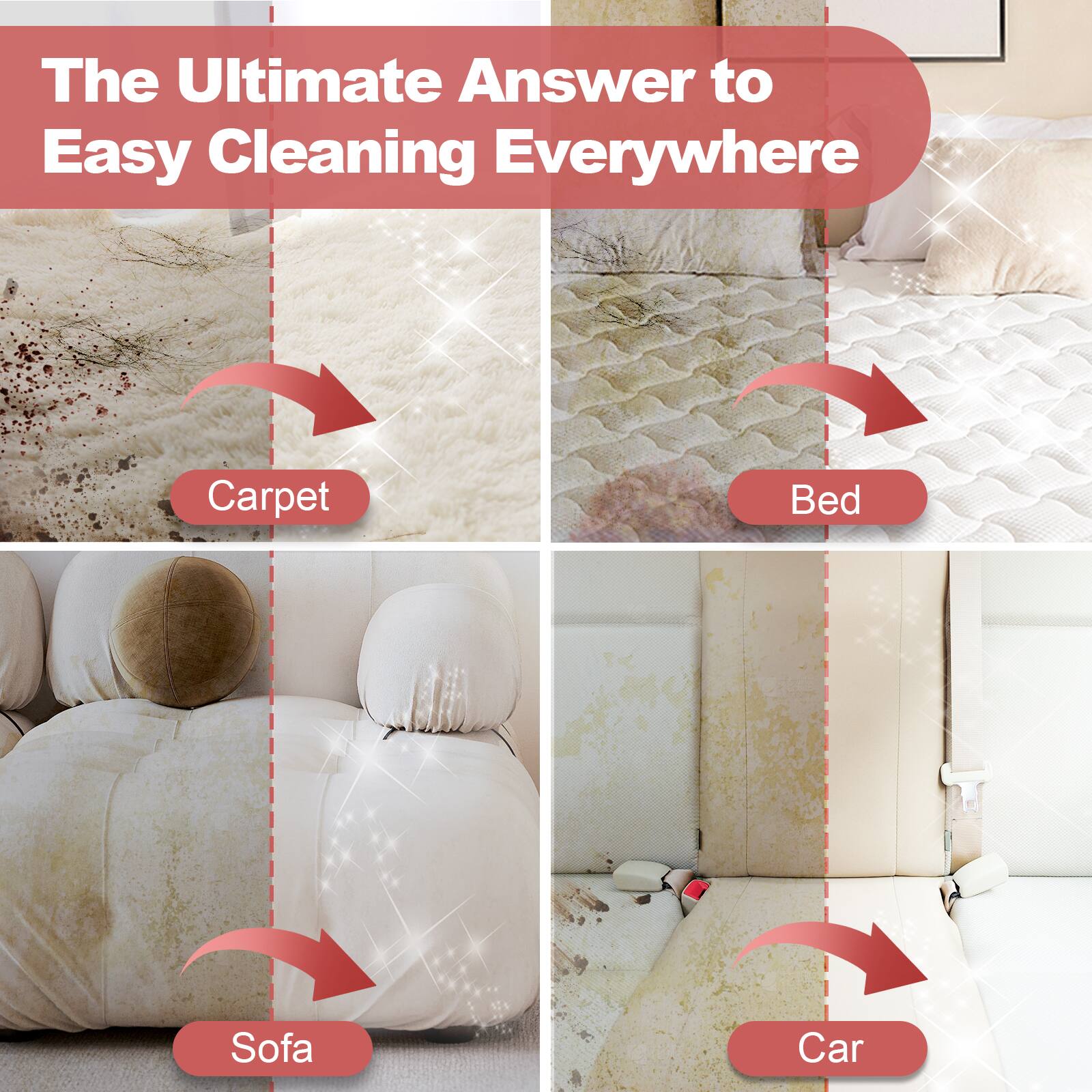The Ultimate Answer to Easy Cleaning Everywhere

Carpet  
Bed  
Sofa  
Car
