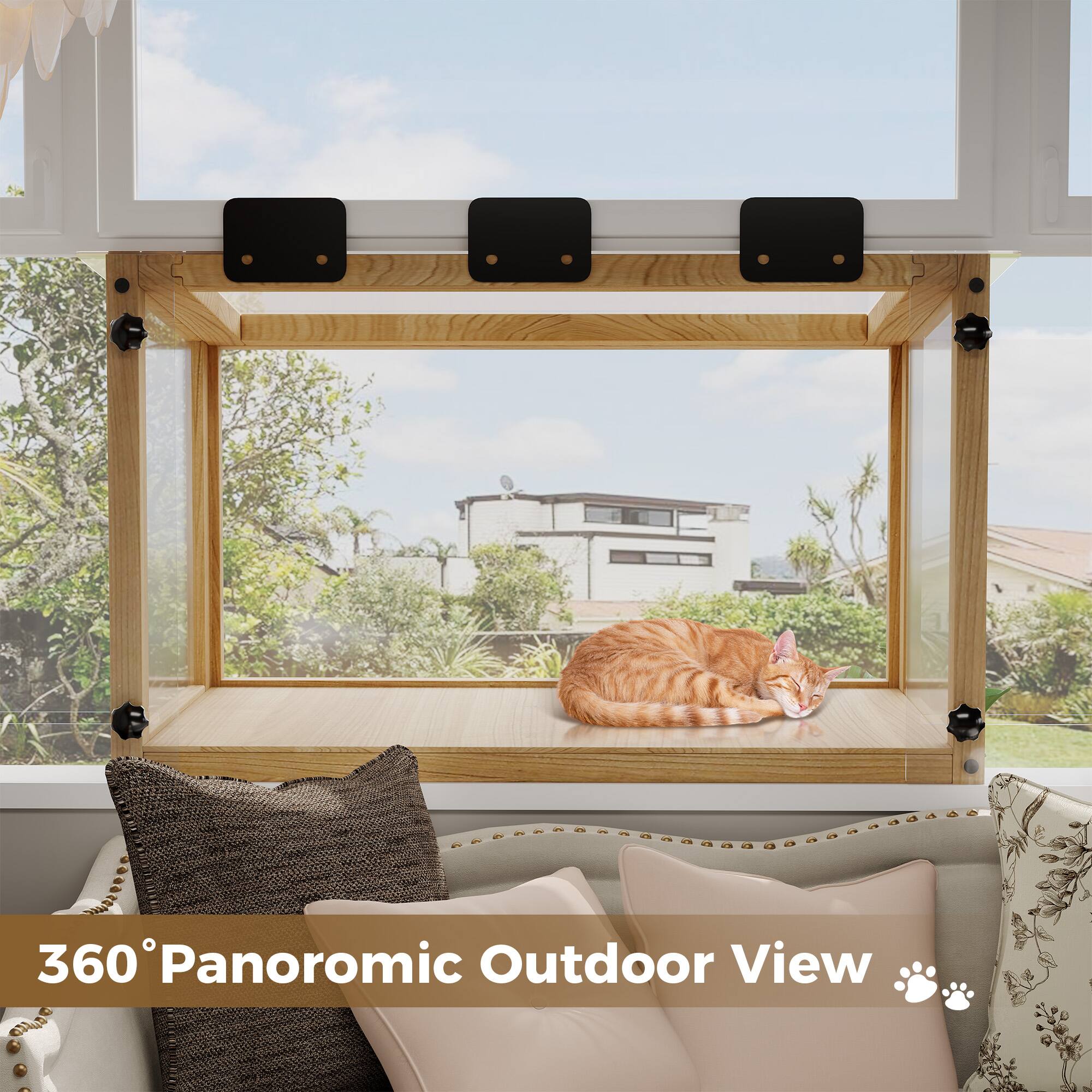 360° Panoramic Outdoor View