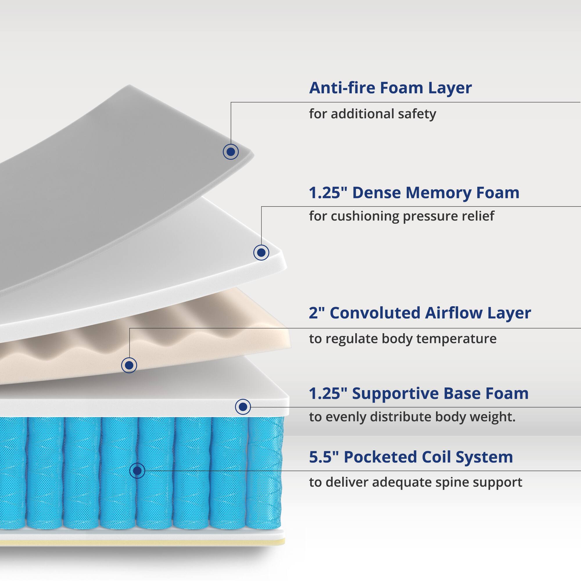 Anti-fire Foam Layer for additional safety  
1.25" Dense Memory Foam for cushioning pressure relief  
2" Convoluted Airflow Layer to regulate body temperature  
1.25" Supportive Base Foam to evenly distribute body weight  
5.5" Pocketed Coil System to deliver adequate spine support