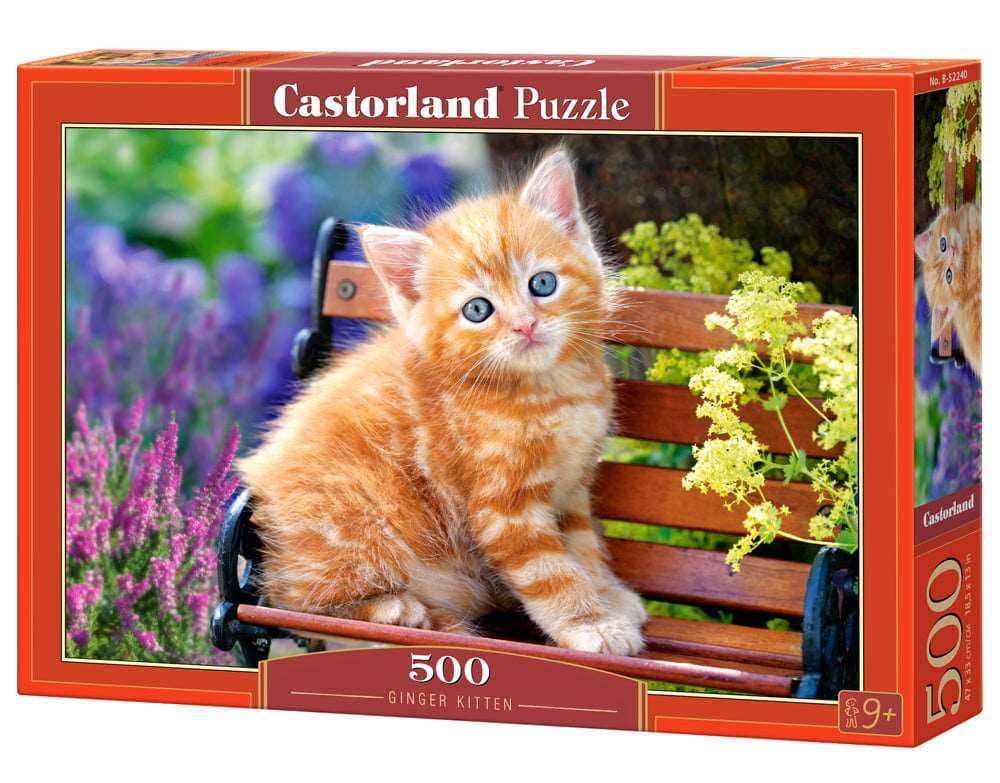 500 Piece Jigsaw Puzzle, Ginger Kitten, Animal puzzle, Cat puzzle, Kittie puzzle, Cute, Castorland B-52240 - Red