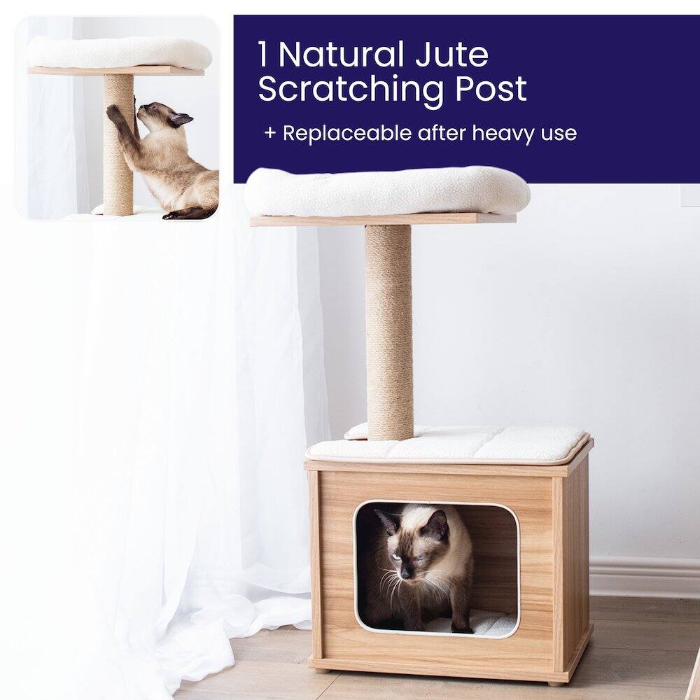 1 Natural Jute Scratching Post  
+ Replaceable after heavy use
