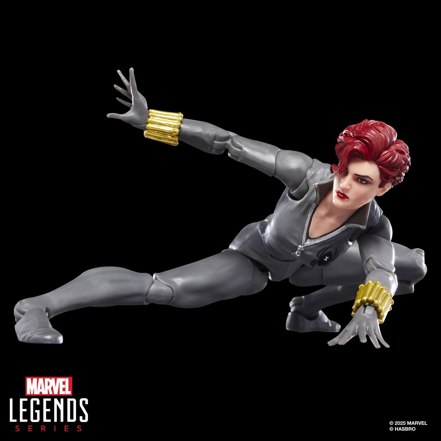 MARVEL LEGENDS SERIES  
© 2025 MARVEL  
HASBRO