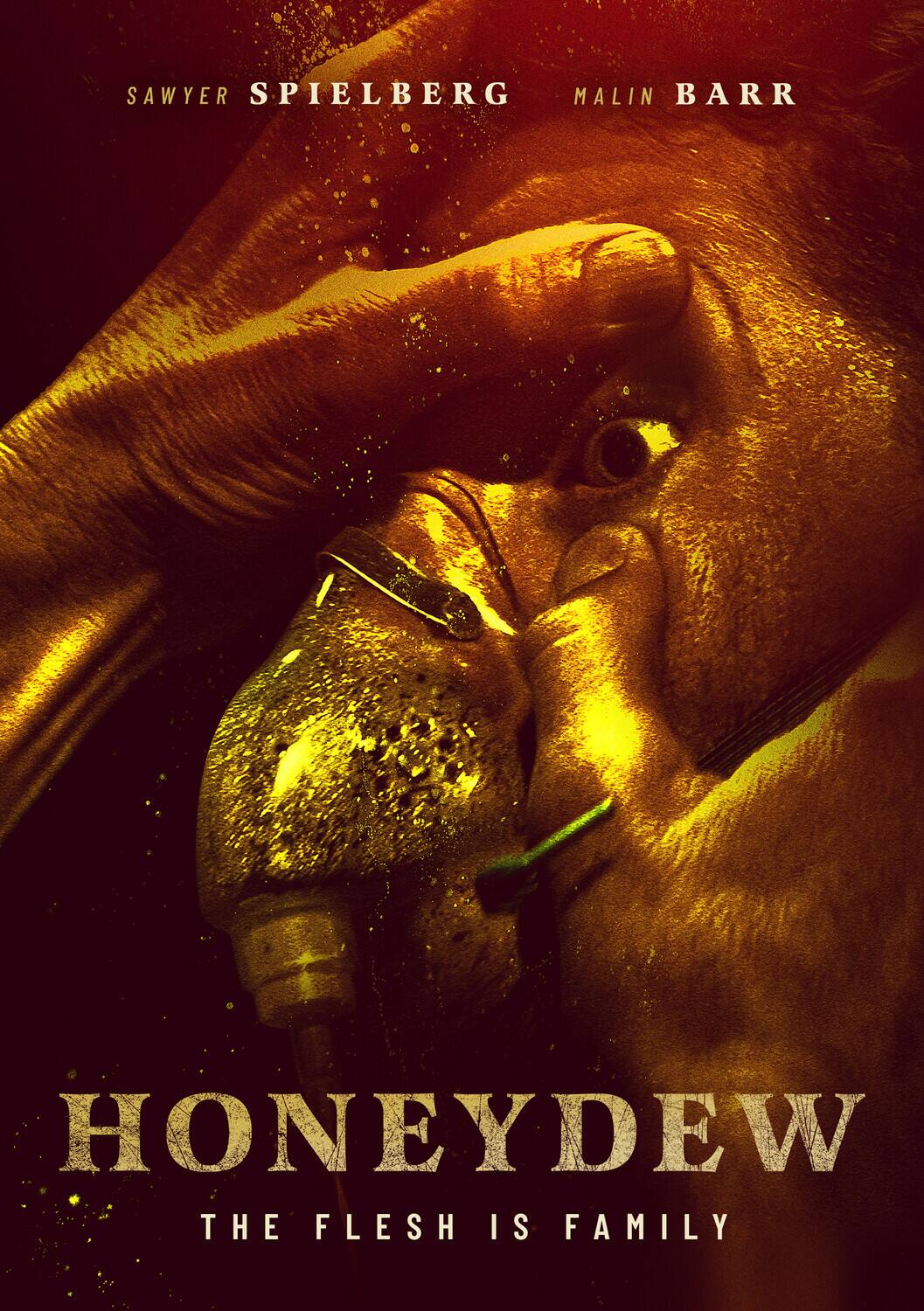 Front. Honeydew   - DVD.