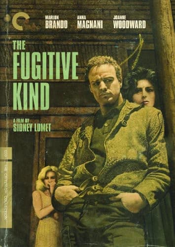 The Fugitive Kind (Criterion Collection)  - DVD
