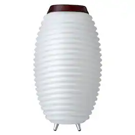 Kooduu - Synergy 65 Lamp, Cordless rechargeable indoor/outdoor speaker Lamp