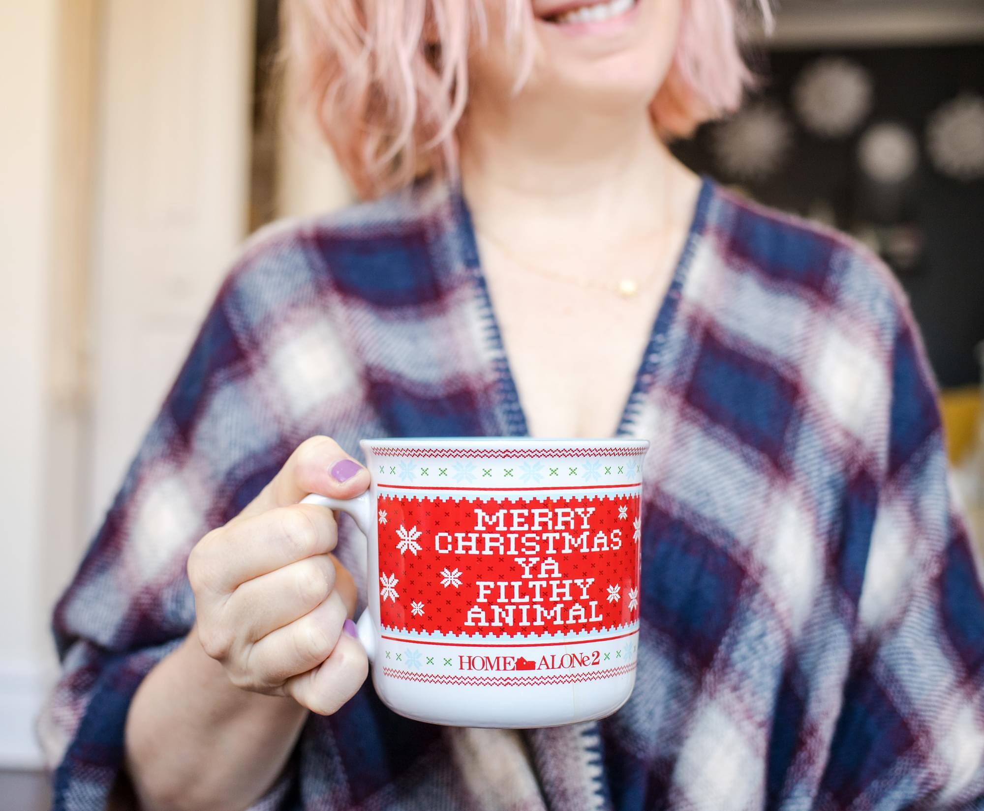 Merry Christmas Ya Filthy Animal  
Home Alone 2