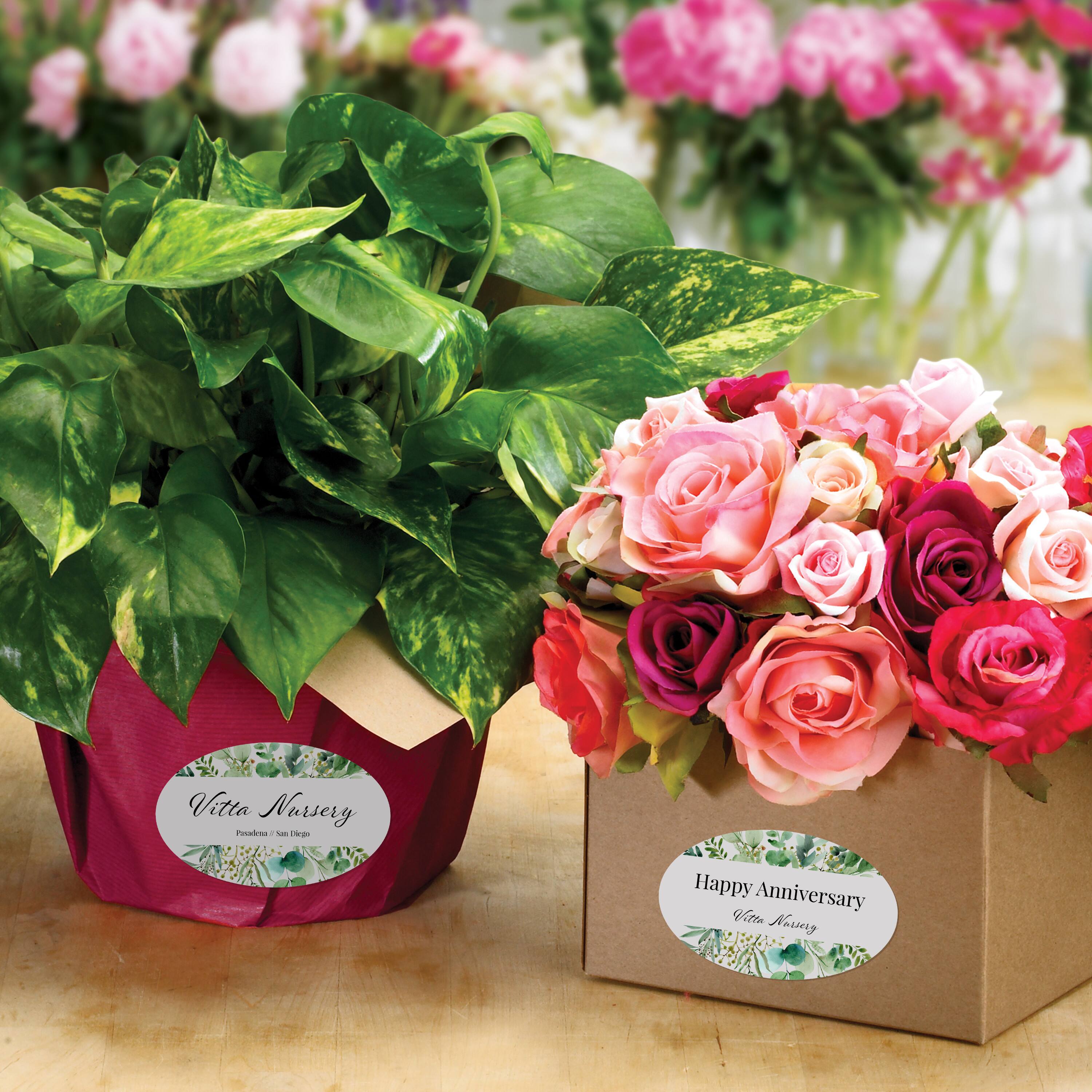 Vitta Nursery  
Pssst - - P  
Happy Anniversary  
Vitta Nursery