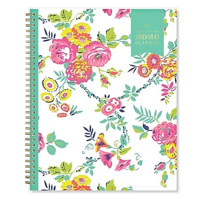 2026 Blue Sky Day Designer Peyton 8.5" x 11" Weekly & Monthly Planner, Plastic Cover, (103618-26) - Multicolored