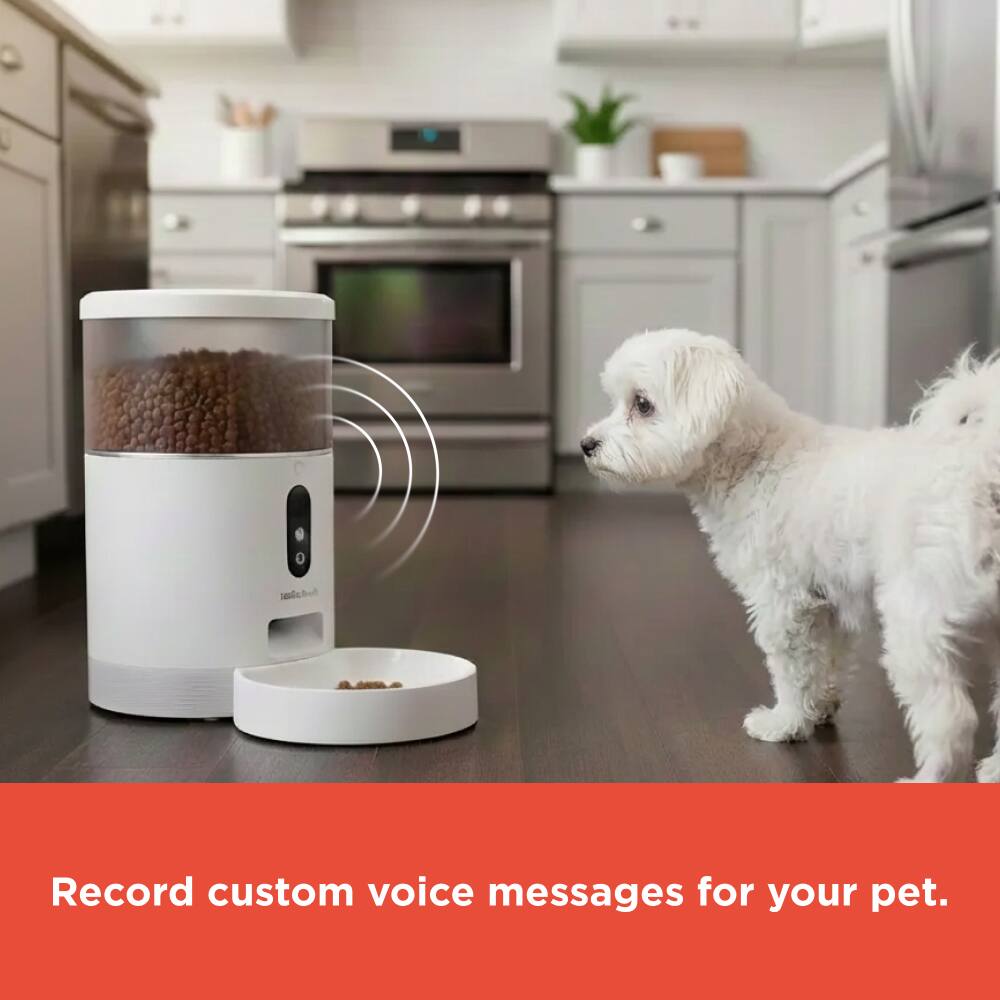 Record custom voice messages for your pet.