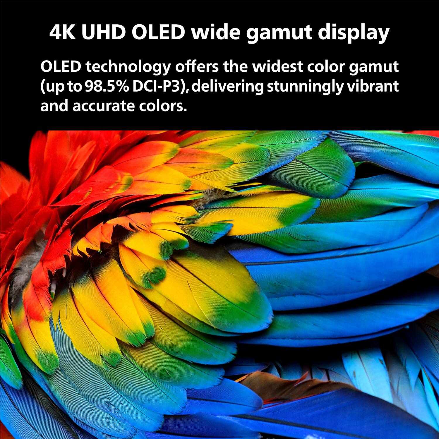4K UHD OLED wide gamut display

OLED technology offers the widest color gamut (up to 98.5% DCI-P3), delivering stunningly vibrant and accurate colors.
