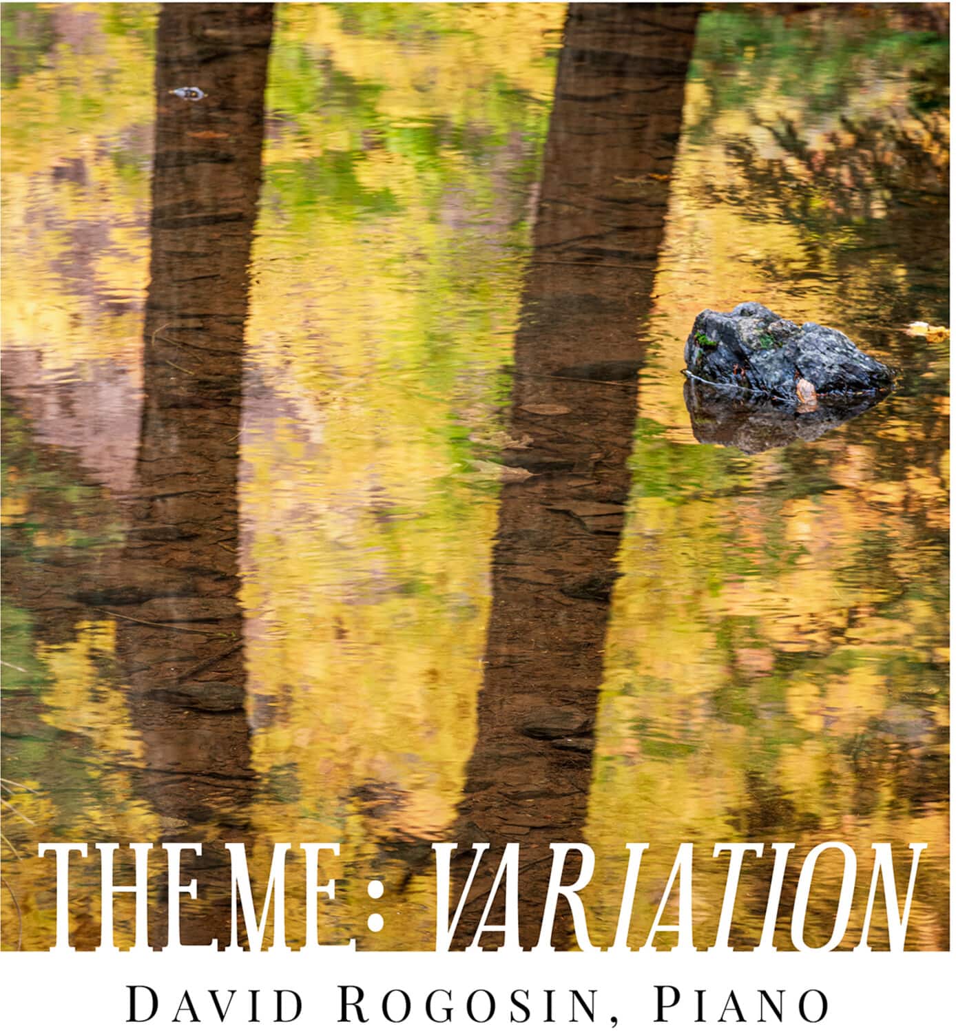 David Rogosin - Theme - Variation  - COMPACT DISCS