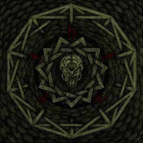 Front. Mitochondrion - Parasignosis   - COMPACT DISCS.