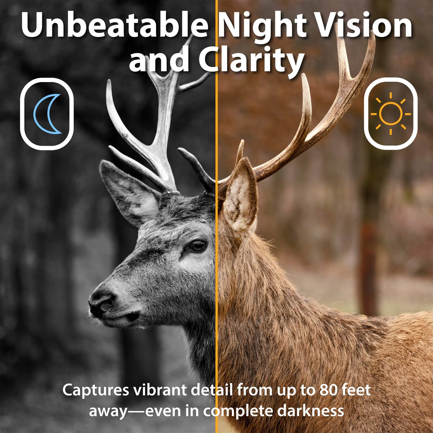 Unbeatable Night Vision and Clarity

Captures vibrant detail from up to 80 feet away—even in complete darkness