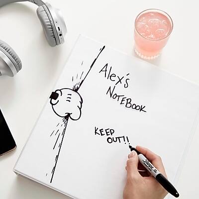 Alex's Notebook  
KEEP OUT!!