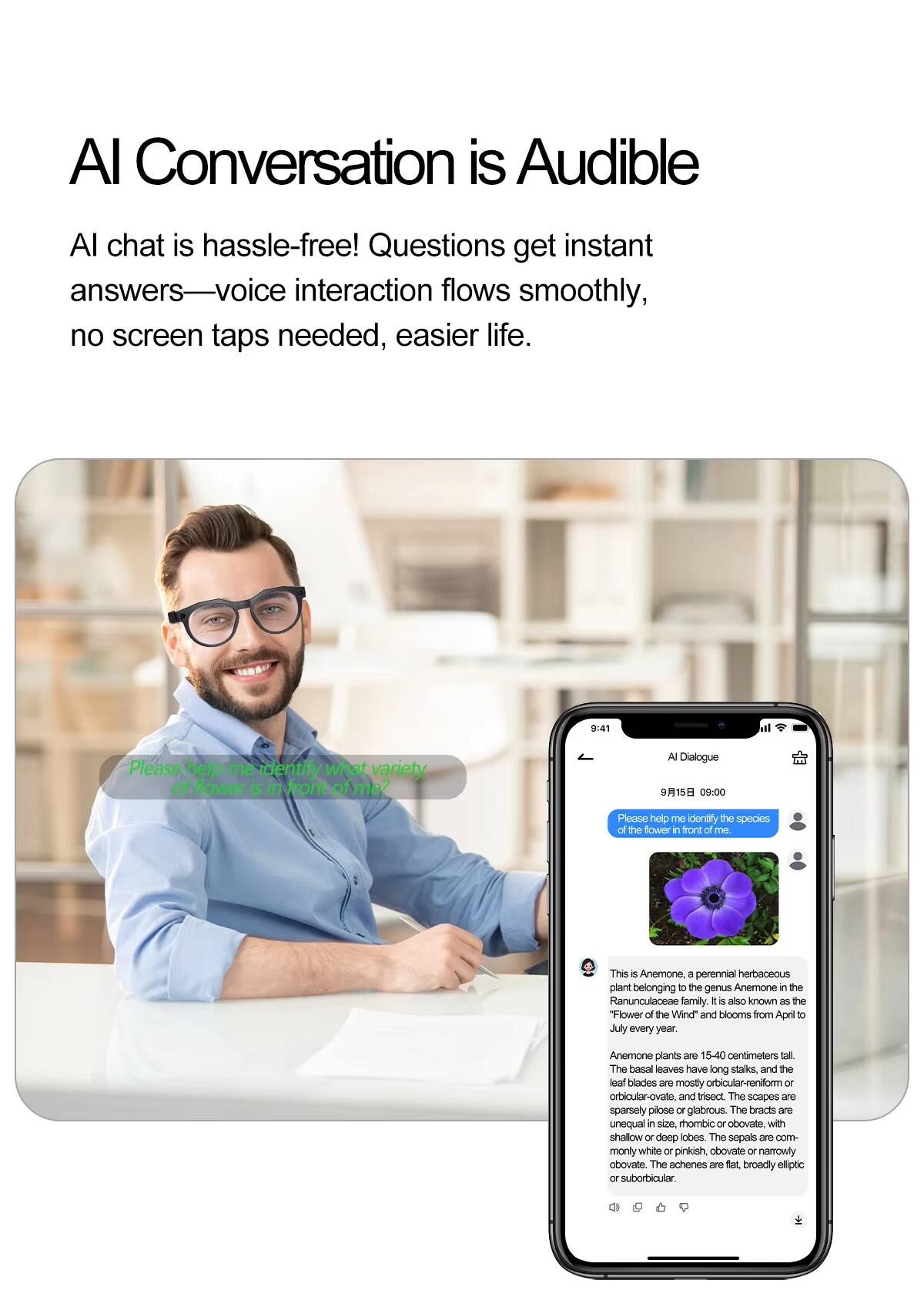AI Conversation is Audible

AI chat is hassle-free! Questions get instant answers—voice interaction flows smoothly, no screen taps needed, easier life.

Please help me identify what variety of flower is in front of me?

9:41  
AI Dialogue  
9/15 09:00  
Please help me identify the species of the flower in front of me.

This is an Anemone, a perennial herbaceous plant belonging to the genus Anemone in the Ranunculaceae family. It is also known as the "Flower of the Wind" and blooms from April to July every year. Anemone plants are 15-40 centimeters tall. The basal leaves have long stalks, and the leaf blades are mostly orbicular-reniform or orbicular-ovate, and trisect. The scapes are sparsely pilose or glabrous. The bracts are unequal in size, rhombic or obovate, with shallow or deep lobes. The sepals are commonly white or pinkish, obovate or narrowly obovate. The achenes are flat, broadly elliptic or suborbicular.