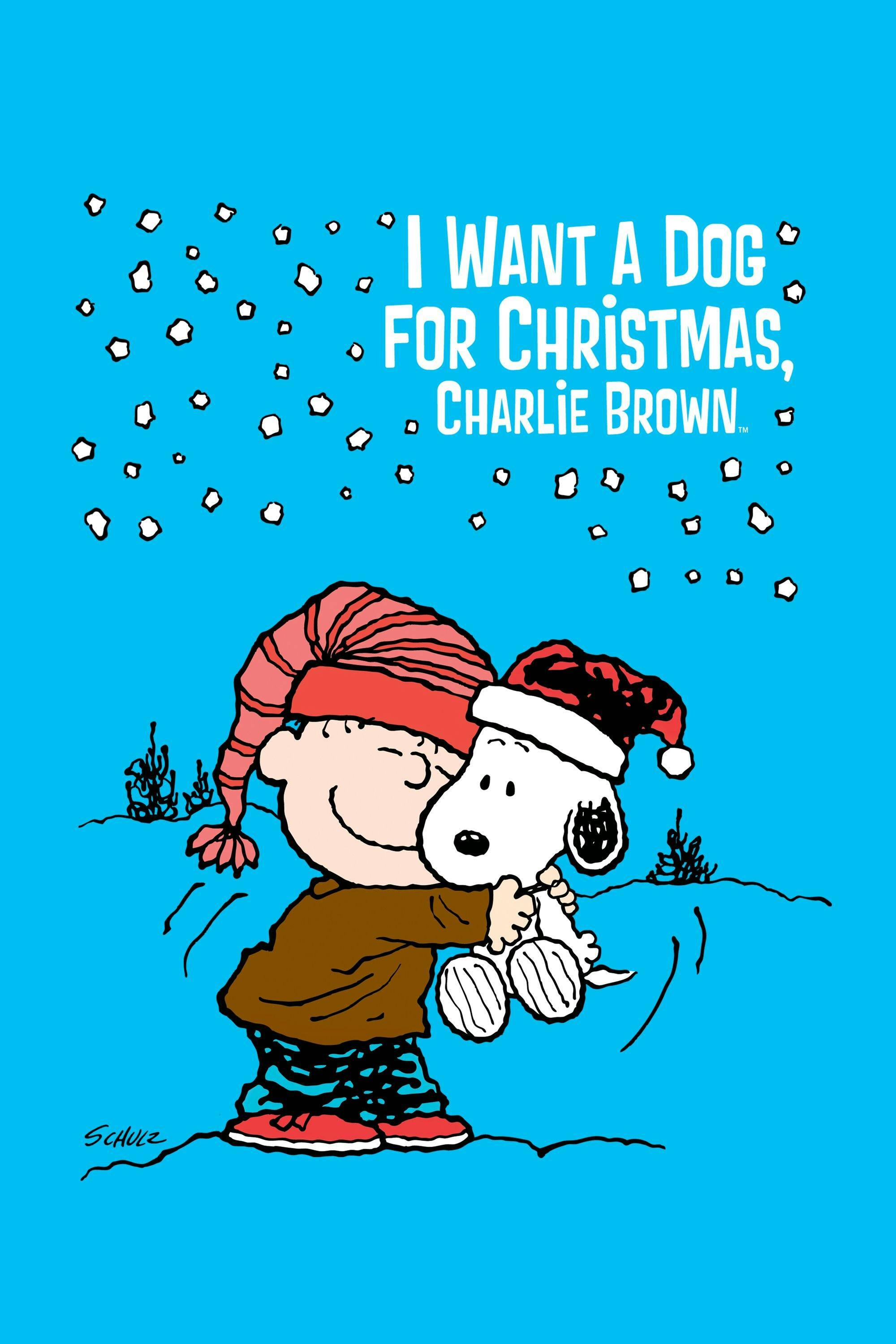 I Want a Dog for Christmas, Charlie Brown: Deluxe Edition [DVD]