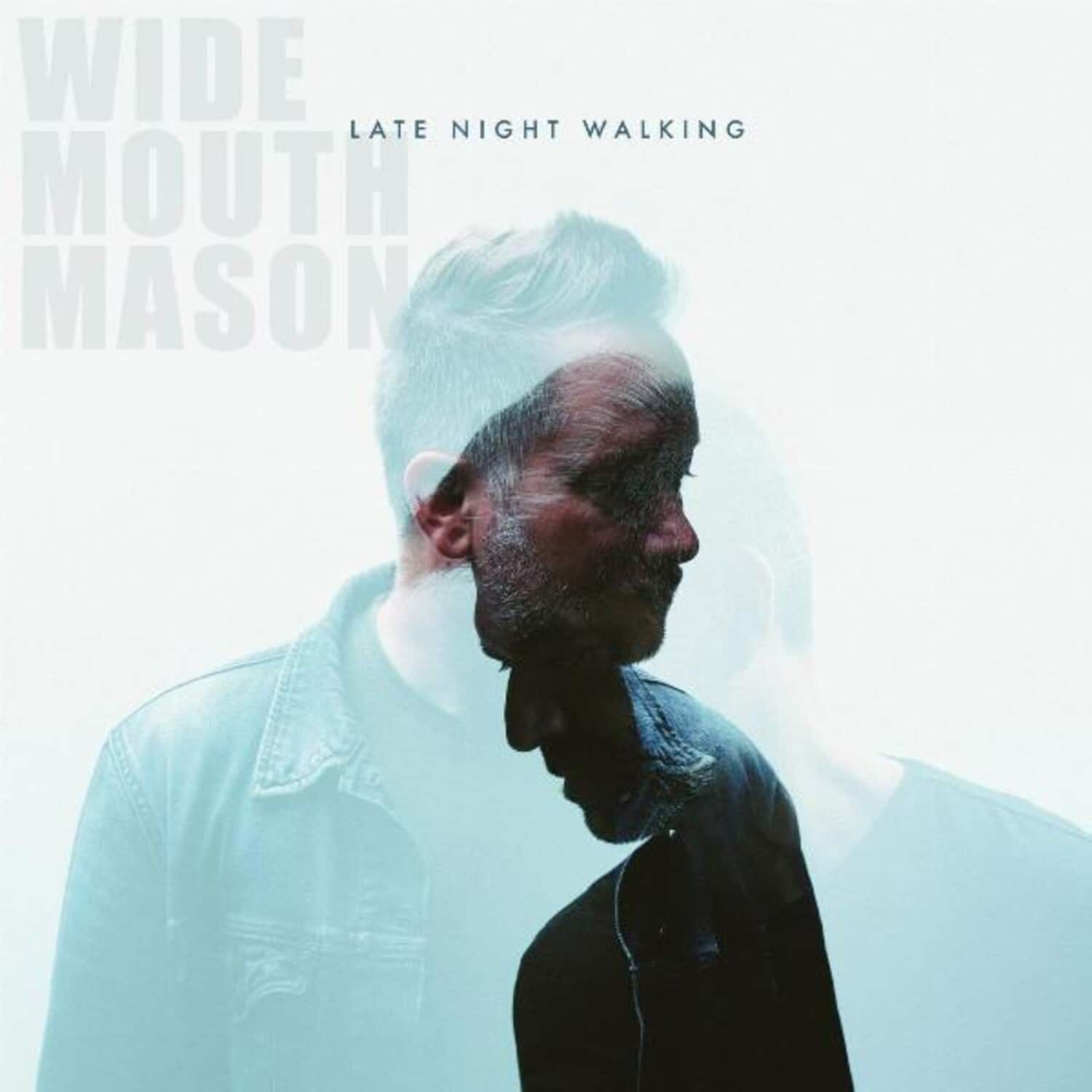 Wide Mouth Mason - Late Night Walking   - VINYL LP price history on PriceWatchPro