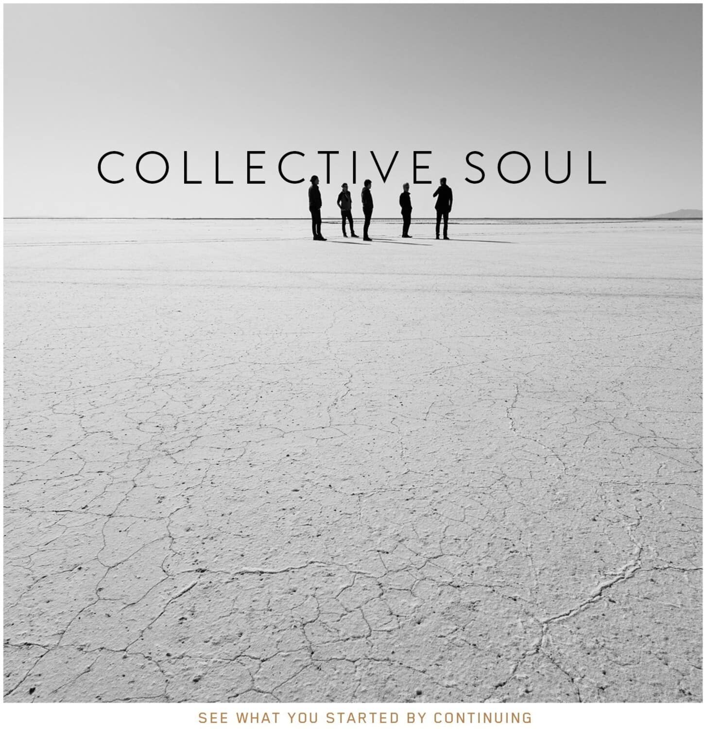 COLLECTIVE SOUL

SEE WHAT YOU STARTED BY CONTINUING
