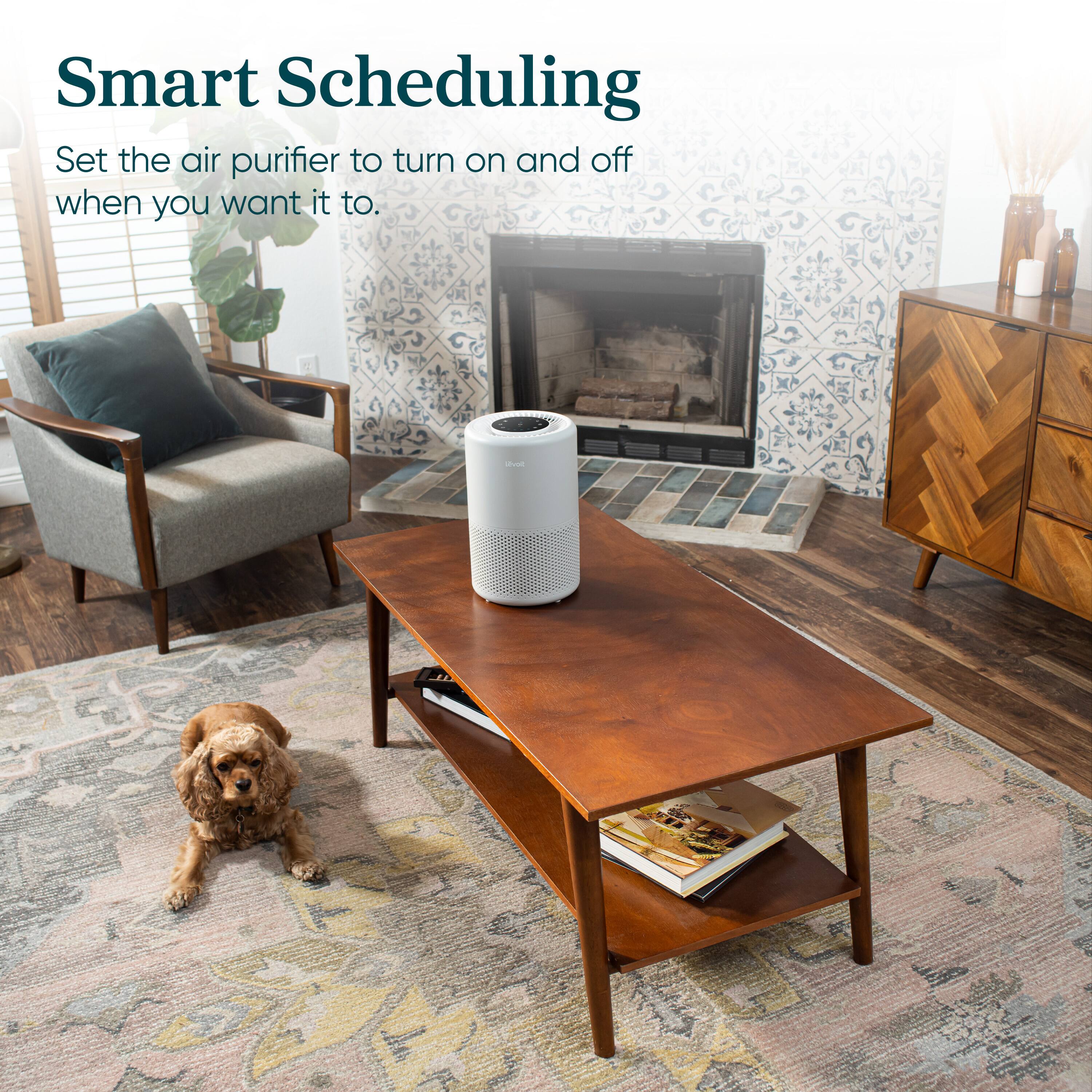 Smart Scheduling: Set the air purifier to turn on and off when you want it to.