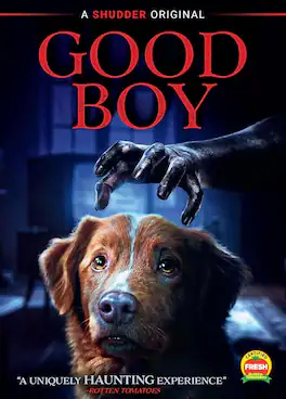 Good Boy - DVD