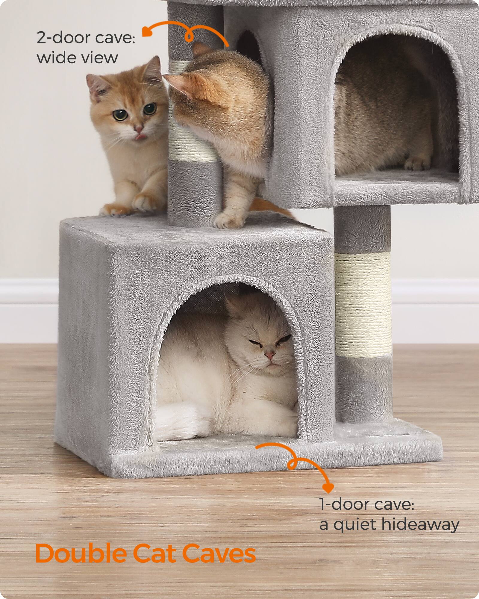 2-door cave: wide view  
Double Cat Caves  
1-door cave: a quiet hideaway
