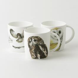 Jiallo - Roy Kirkham SOPHIE MUG - OWLS, Set of 6, Bone China Ceramic, Made in England - Mutli color
