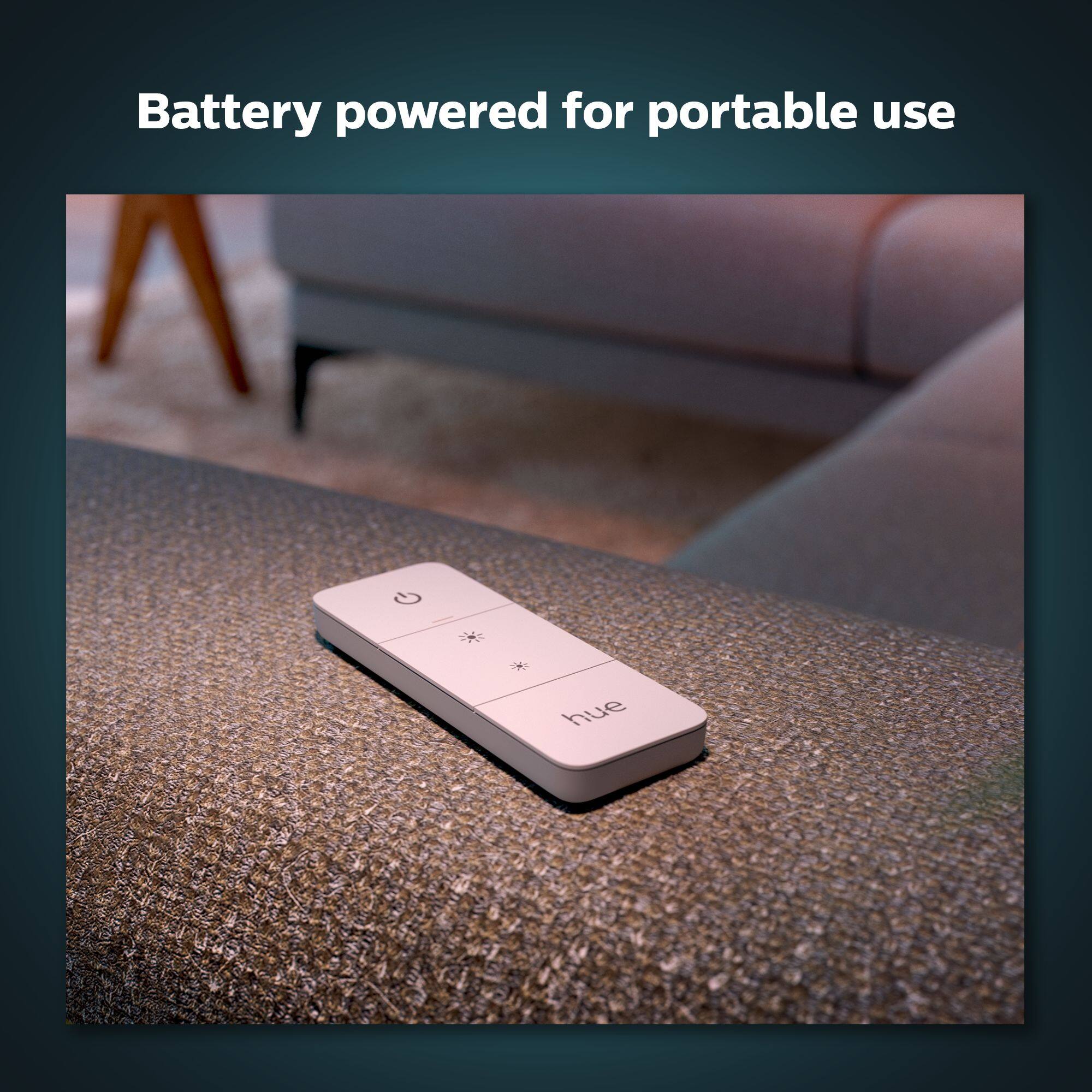 Battery powered for portable use hue.