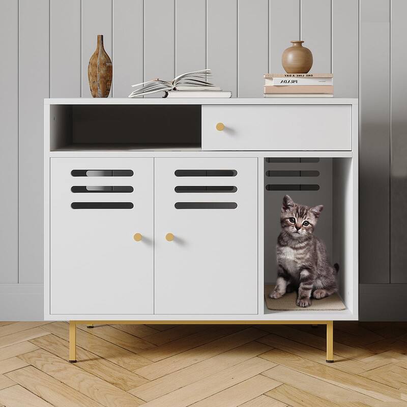 A white cabinet with a cat inside.