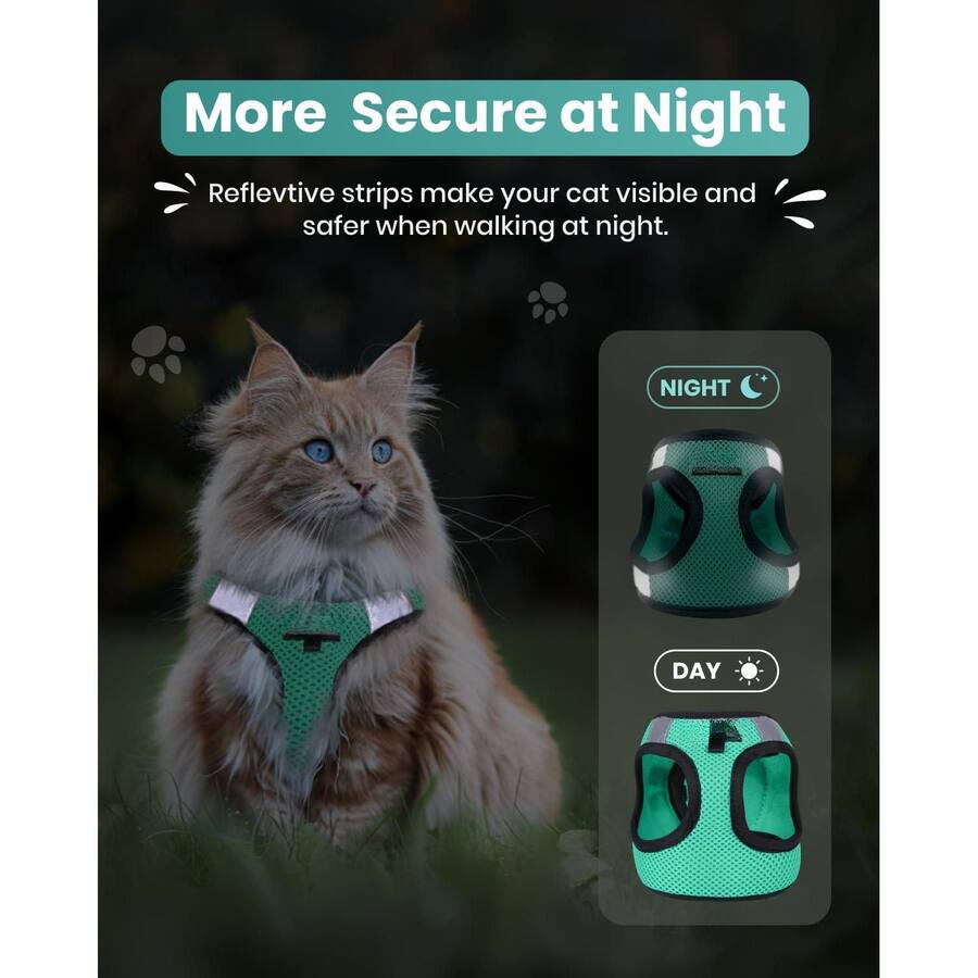 Cat Leashes Paradigms Interiors Escape Proof Cat Harness And Leash Set For Walking ...
