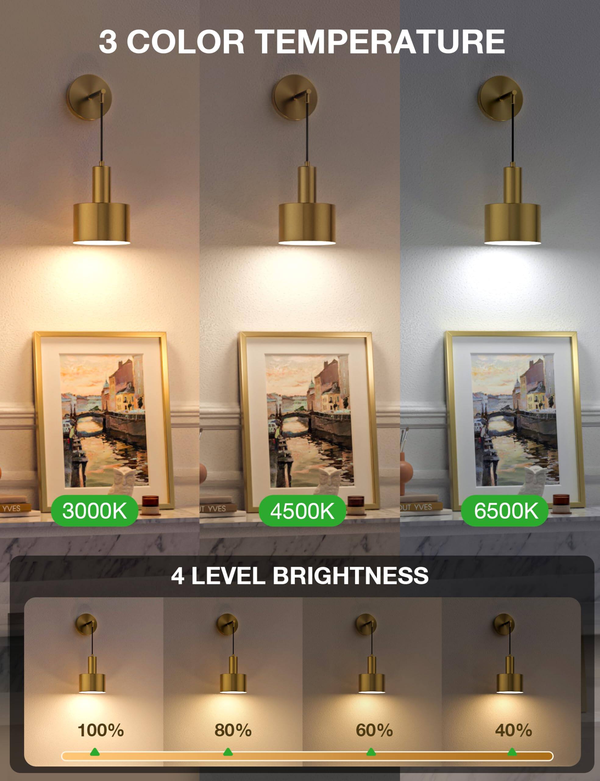 3 COLOR TEMPERATURE  
- 3000K  
- 4500K  
- 6500K  

4 LEVEL BRIGHTNESS  
- 100%  
- 80%  
- 60%  
- 40%