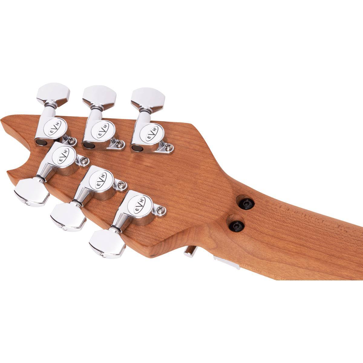 EVH EVH EVH EVH EVH EVH