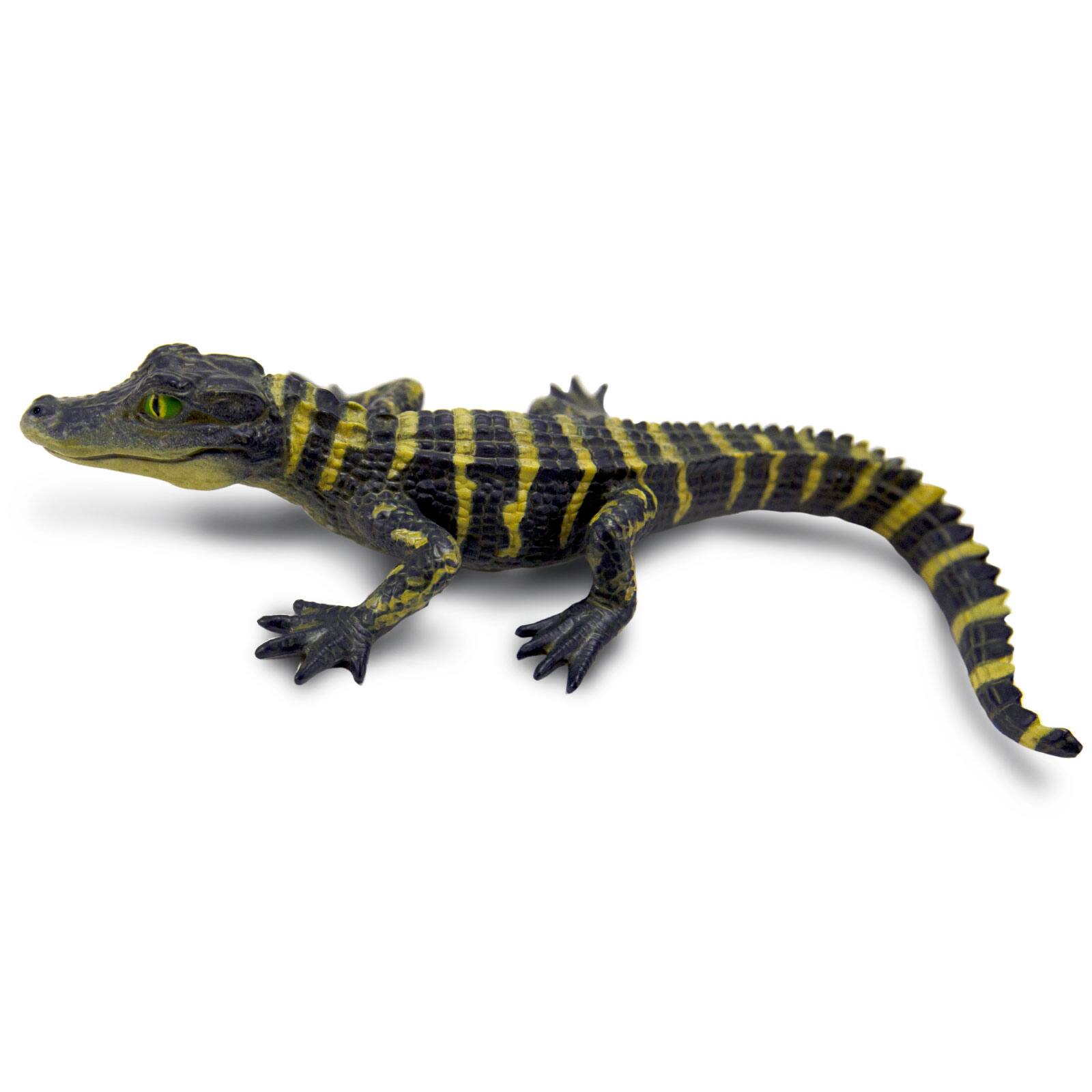 Back. Safari Ltd. - Alligator Baby Toy Figurine.