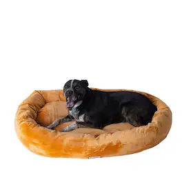 Armarkat - Large Earth Bolstered Pet Bed And Mat - Brown