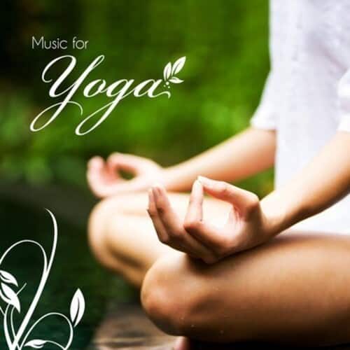 Various Artists - Music for Yoga / Various   - COMPACT DISCS [CD] price history on PriceWatchPro