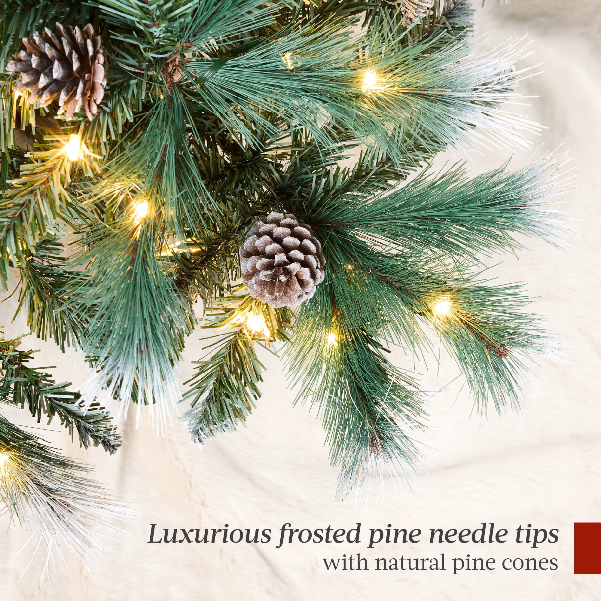 Luxurious frosted pine needle tips with natural pine cones.