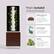What's Included
We include over $700+ worth of value with every new Just Vertical EVE garden.
**SEEDLING KIT**
Valued at $39.99
Start your seeds for indoor and outdoor growing with our seedling kit. A light is included with the kit.
**NUTRIENTS**
Valued at $50.00
1x bottle of Aqua Vega A and 1x Aqua Vega B to achieve full growth.
**SEEDS**
Valued at $699
We include enough seeds to grow $699 worth of produce (see our produce payback promise to learn more).