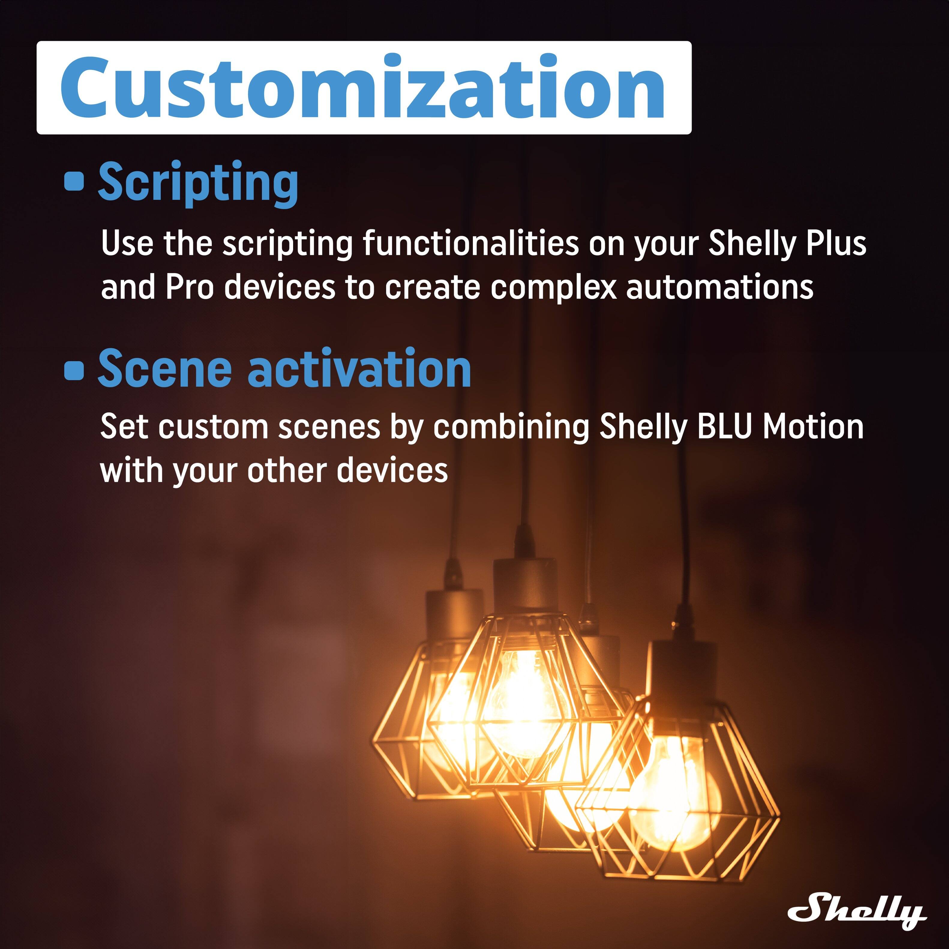 Customization

- Scripting  
Use the scripting functionalities on your Shelly Plus and Pro devices to create complex automations

- Scene activation  
Set custom scenes by combining Shelly BLU Motion with your other devices