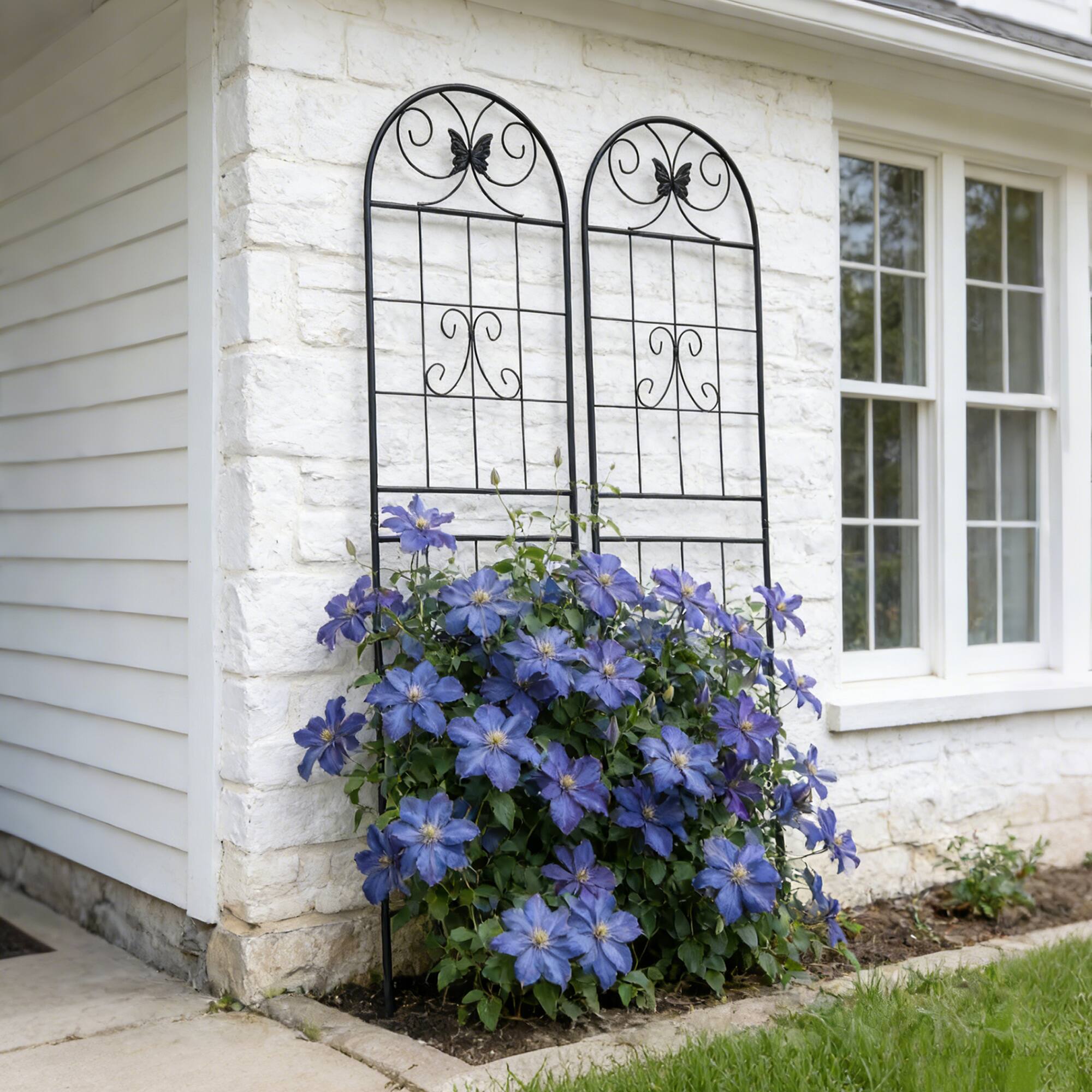 Back. Loheer - Rustproof Metal Garden Trellis 2 Pack 7.2 ft x 1.6 ft for Climbing Plants - Black.